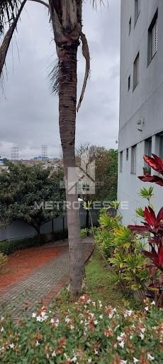 🏢 Apartamento Rua Antônio Pires de Campos, 140, Vila Ema, São Paulo - Sp